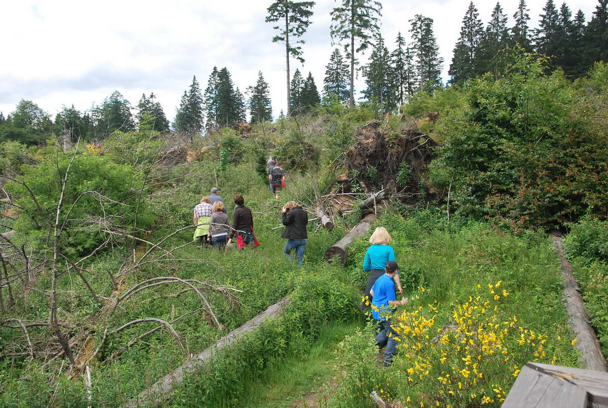 2012-06-10 Hohenroth 127.jpg
